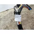 PACCAR P92-5150-10000 Wiring Harness thumbnail 2