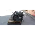 PACCAR PX-8 Engine Assembly thumbnail 3