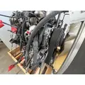 PACCAR PX-8 Engine Assembly thumbnail 5