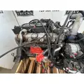 PACCAR PX-8 Engine Assembly thumbnail 7