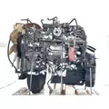 PACCAR PX-8 Engine Assembly thumbnail 1