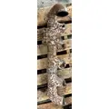 PACCAR PX-9 Exhaust Manifold thumbnail 2