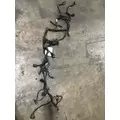 PACCAR PX-9 Wiring Harness thumbnail 2