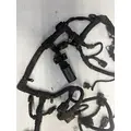PACCAR PX9 Engine Wiring Harness thumbnail 4