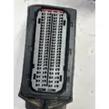 PACCAR PX9 Engine Wiring Harness thumbnail 5