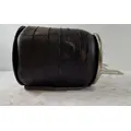 PACCAR  Air Spring thumbnail 4