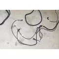 PACCAR  Chassis Wiring Harness thumbnail 4