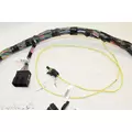 PACCAR  Chassis Wiring Harness thumbnail 3