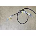 PACCAR  Chassis Wiring Harness thumbnail 3