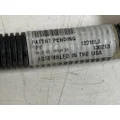 PACCAR  Hose  thumbnail 4