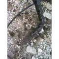 PALFINGER ILM30 LIFTGATE ASSEMBLY thumbnail 10