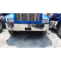 PETERBILT 330 1996-2005 BUMPER ASSEMBLY, FRONT thumbnail 1