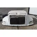 PETERBILT 330 2005-2020 HOOD thumbnail 1