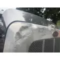 PETERBILT 367 Hood thumbnail 21