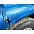 PETERBILT 377 1985-1997 HOOD thumbnail 10