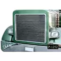PETERBILT 379 1987-2007 GRILLE thumbnail 1