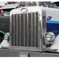 PETERBILT 379 1987-2007 GRILLE thumbnail 2
