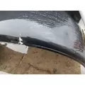 PETERBILT 379 EXHD 1987-2007 HOOD thumbnail 6