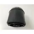 PETERBILT 379 Air Spring thumbnail 4