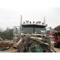 PETERBILT 379 Cab Assembly thumbnail 3