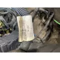 PETERBILT 379 Engine Assembly thumbnail 10