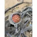 PETERBILT 379 Engine Assembly thumbnail 12