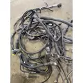 PETERBILT 379 Engine Assembly thumbnail 14