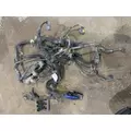 PETERBILT 379 Engine Assembly thumbnail 19