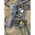 PETERBILT 379 Engine Assembly thumbnail 22