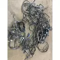 PETERBILT 379 Engine Assembly thumbnail 5