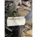 PETERBILT 379 Engine Assembly thumbnail 9