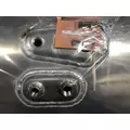 PETERBILT 379 Fuel Tank thumbnail 4