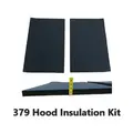 PETERBILT 379 HOOD, SECTION thumbnail 2