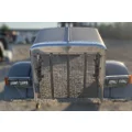 PETERBILT 379 Hood thumbnail 2