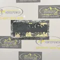 PETERBILT 379 Radiator thumbnail 11