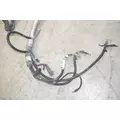 PETERBILT 386 Chassis Wiring Harness thumbnail 4