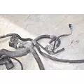 PETERBILT 386 Chassis Wiring Harness thumbnail 7