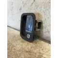 PETERBILT 386 Door Handle thumbnail 1