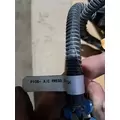 PETERBILT 386 Engine Assembly thumbnail 5