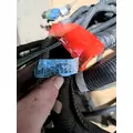 PETERBILT 386 Engine Assembly thumbnail 7