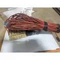 PETERBILT 386 Fuse Box thumbnail 2