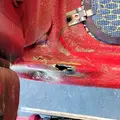 PETERBILT 386 Hood thumbnail 10