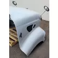 PETERBILT 387 1999-2011 HOOD thumbnail 13
