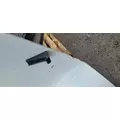 PETERBILT 387 1999-2011 HOOD thumbnail 17