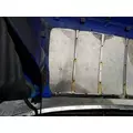 PETERBILT 387 1999-2011 HOOD thumbnail 6