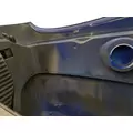 PETERBILT 387 1999-2011 HOOD thumbnail 8