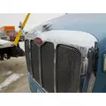 PETERBILT 387 1999-2011 HOOD thumbnail 7