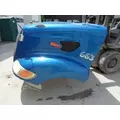 PETERBILT 387 1999-2011 HOOD thumbnail 1