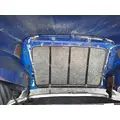 PETERBILT 387 1999-2011 HOOD thumbnail 6