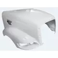 PETERBILT 387 1999-2011 HOOD thumbnail 1